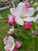 20190430_133841