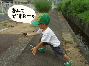ハナペコブログ-3