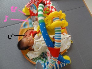 ハナペコブログ