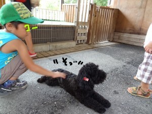 ハナペコブログ