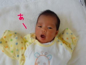 ハナペコブログ