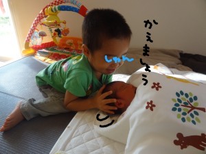 ハナペコブログ