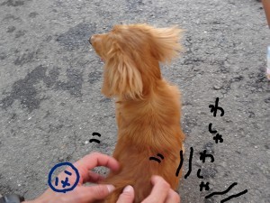 ハナペコブログ