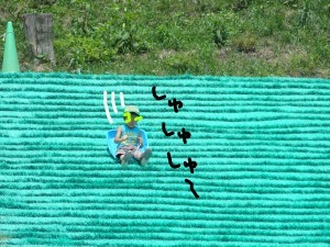 ハナペコブログ