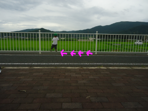 ハナペコブログ-5