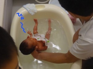 ハナペコブログ