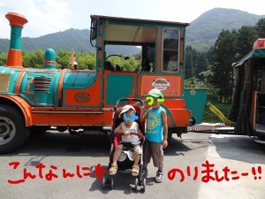 ハナペコブログ