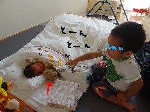 ハナペコブログ