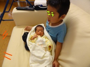 ハナペコブログ