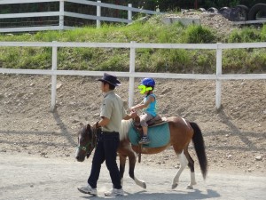 ハナペコブログ