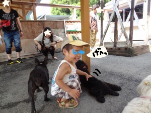 ハナペコブログ