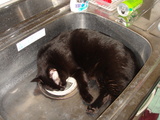 DSC02527