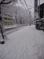 e283313c.jpg