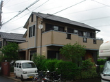 DSC02487