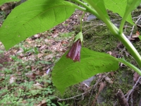 R0014920