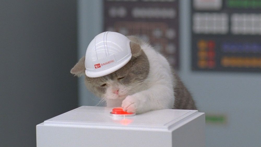 ねこ©bbspink.com	YouTube動画>22本 ->画像>1446枚 
