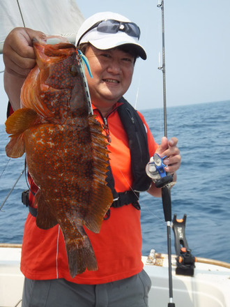 吉田さんアコウ6