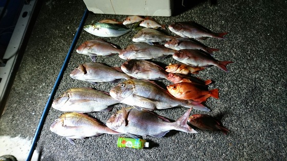 釣果