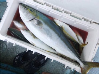 9.9釣果