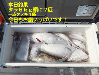 10本日釣果