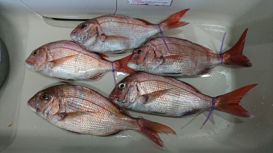 釣果