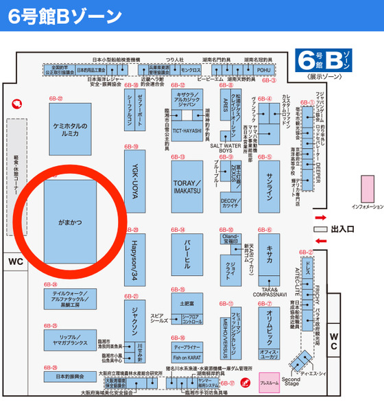 6のB