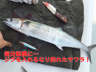 2ジギングでサワラ