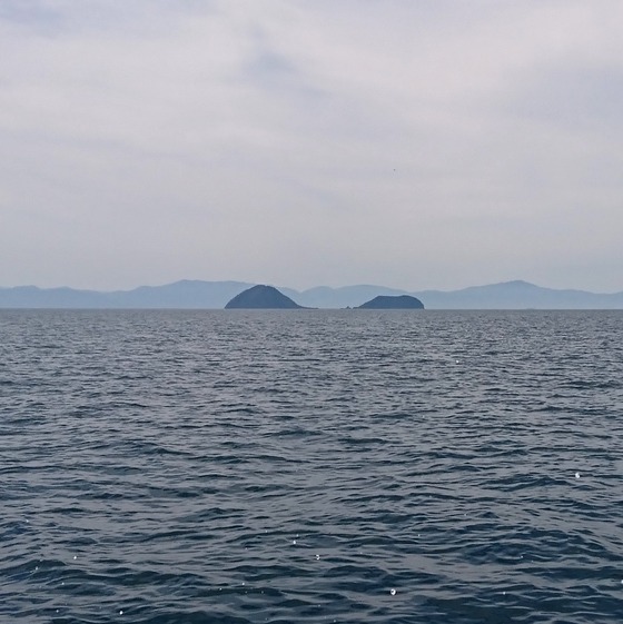 ダッシュ島