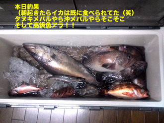 浦島6