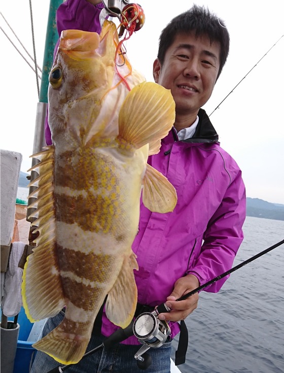 アオハタ親分