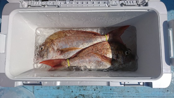 釣果