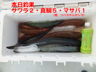 5本日釣果