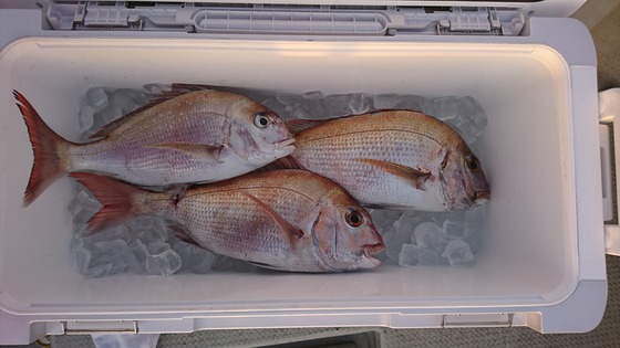 釣果