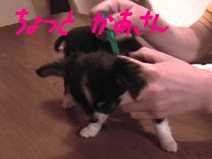ちょっ、、ちょっとぉ〜〜
