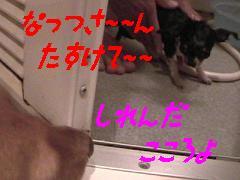 なっつさ〜〜ん!!