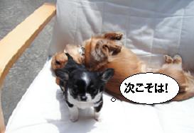 がんばれこころ