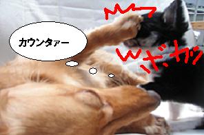 カウンター