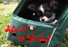 こころは見た!!
