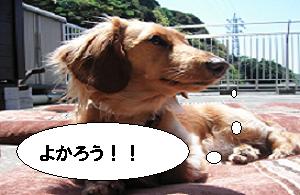 ¾¡É飲