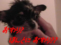 ほんとだね?