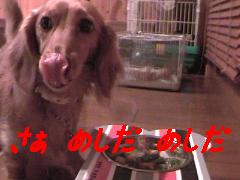 めしだ、めしだぁ
