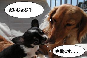 完敗こころ