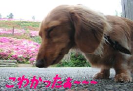 こわかったぁ〜〜