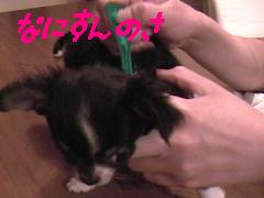 なにすんのさぁ〜〜