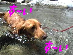 す〜いす〜いっと
