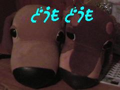 ど、どうも、、