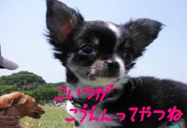 ¤³¤ì¤¬¸ø±à¤Ê¤Î¤«¤¡¡Á