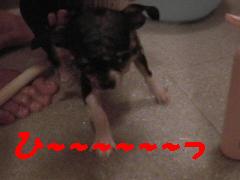 ひ〜〜やめて〜〜