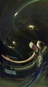 220208f2.jpg