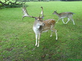 0710_LondonTrip38